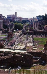 Le forum Rome08