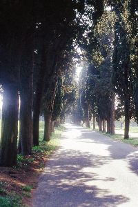 La Via Apia Rome30